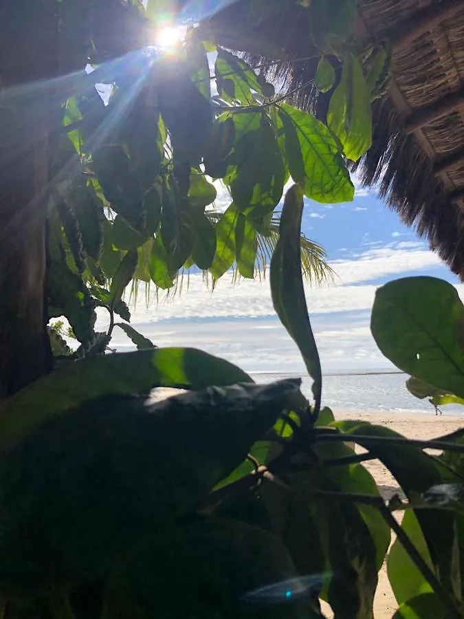 Apartamento Inteiro Com Piscina - 17 Apartment Porto Seguro 0*,  Brazil